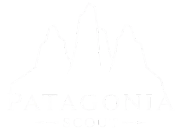 Patagonia Scout
